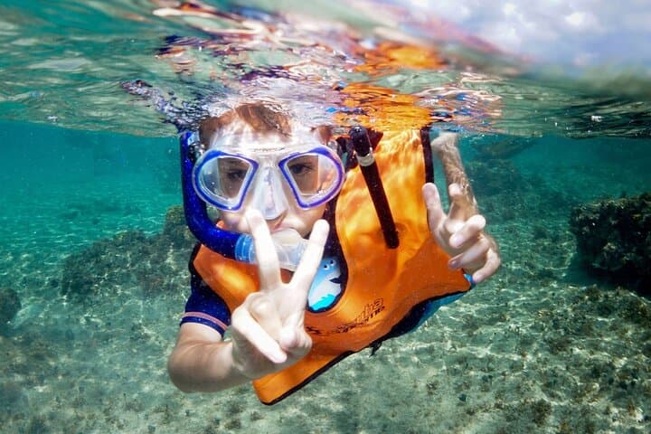 Cozumel 4-Hour Private Snorkel Trip to El Cielito and Reefs photo 3