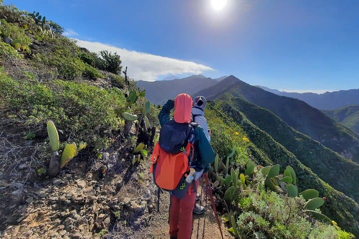 Masca Gorge Guided Hike in Teno Rural Park — Tenerife Day Hike