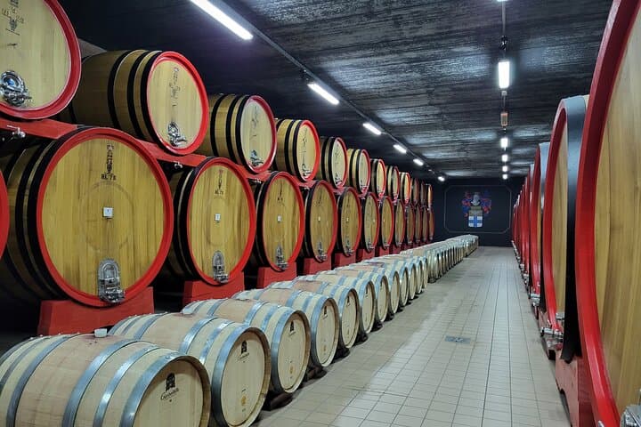 Montepulciano Private Walking Tour & Nobile Wine Tasting — Piazza Grande to Ancient Cellars photo 5