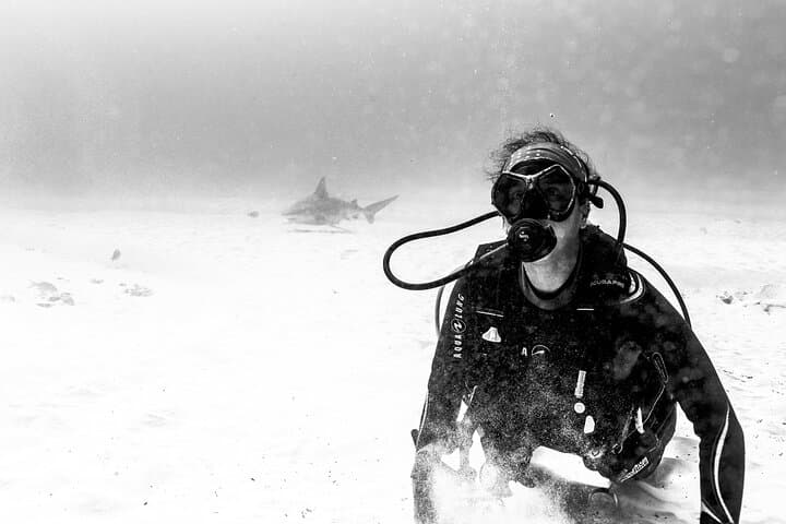 Bull Shark Dive in Playa del Carmen: Dive Machine Shark Point Adventure photo 6