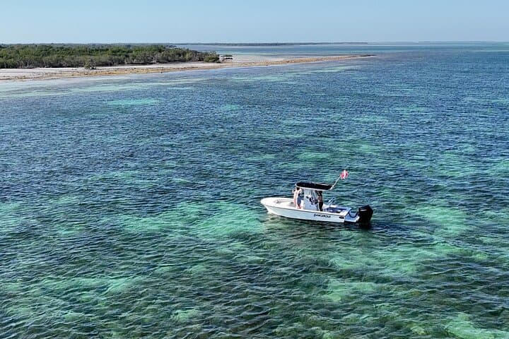 Private Key West Sandbar and Snorkeling Charter — Half-Day for 6 photo 6