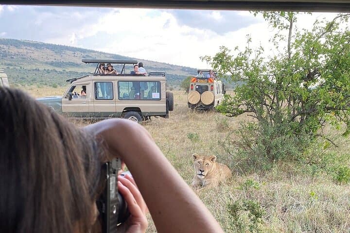 3-Day Maasai Mara Safari from Nairobi: Big Five, Migration & Maasai Visit photo 3