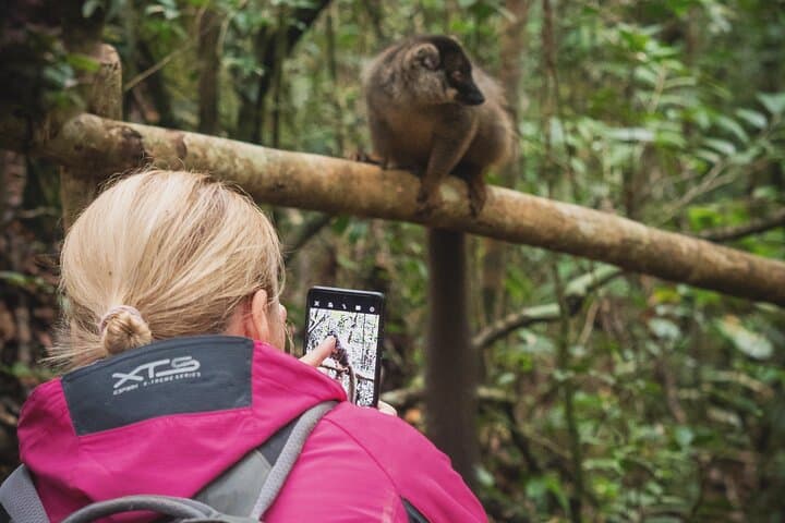 Andasibe National Park Day Trip: Indri Encounters & Vakona Lemur Reserve