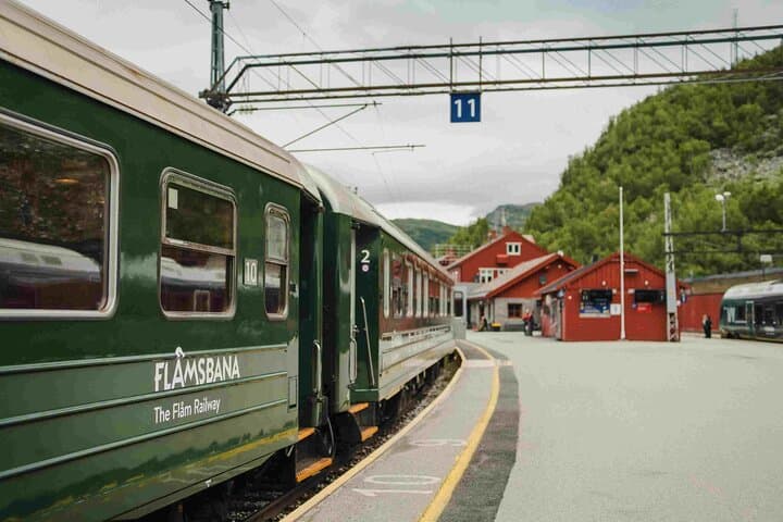 Viking Village, Nærøyfjorden Cruise & Flåm Railway — Full-Day Guided Tour from Bergen