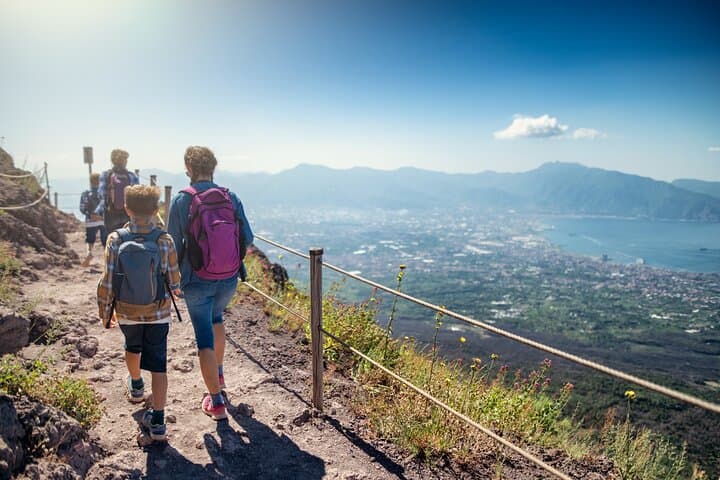Pompeii and Vesuvius: Volcano Hike, Ancient Ruins & Vesuvian Wine Tasting