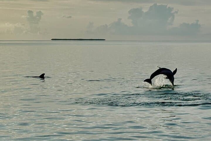 Key West Sunset Powerboat Cruise: Private 2‑Hour Harbor Tour photo 5