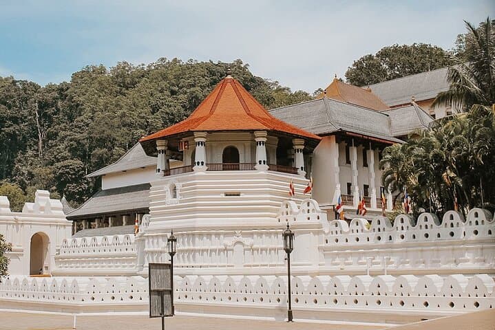 Kandy City Tour & Scenic Transfer to Ella from Sigiriya — Dambulla, Tea Tasting & Hill Views photo 4