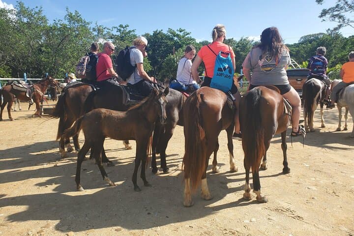 Roatan Horseback and ATV Adventure with Sloth & Monkey Park: Beaches, Jungle Trails, and Wildlife photo 2