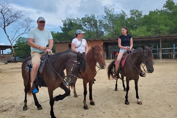 Roatan Horseback and ATV Adventure with Sloth & Monkey Park: Beaches, Jungle Trails, and Wildlife photo 3