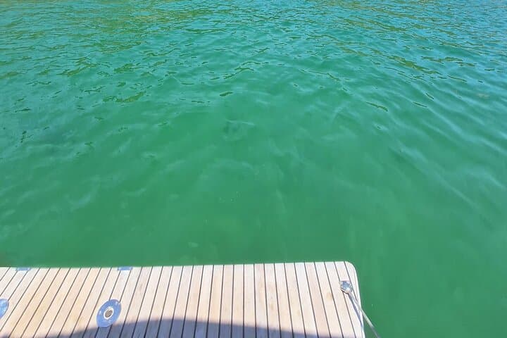 Sail Tróia & Comporta: Full-Day Boat Adventure from Setúbal photo 5