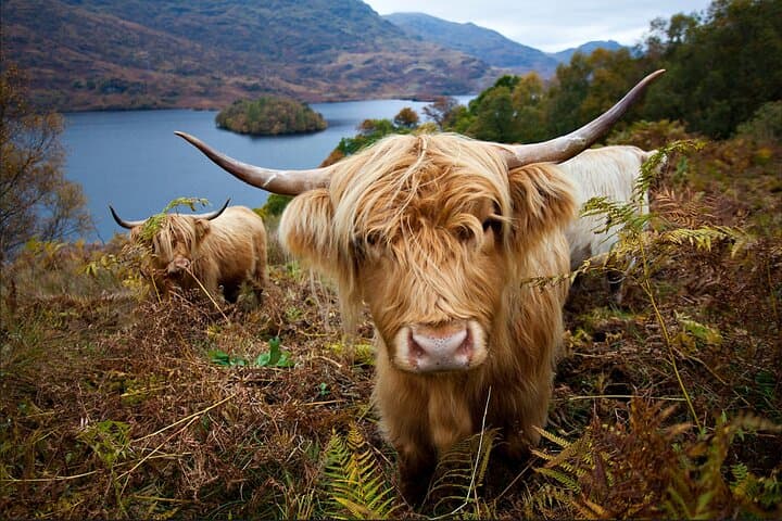 Loch Ness, Glencoe & Highlands: Private Day Tour from Edinburgh