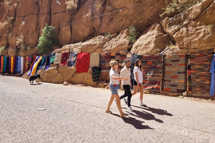 11-Day Morocco Adventure: Private Custom Tour from Marrakech to the Sahara
