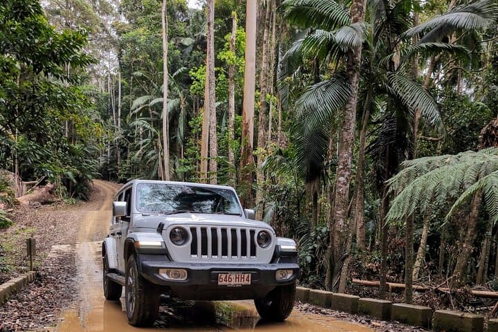 Booloumba Falls & Booloumba Creek 4x4 Adventure in Conondale National Park