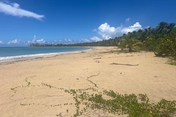 Puerto Plata Private Sightseeing Combo: Top Sights in One Day photo 4