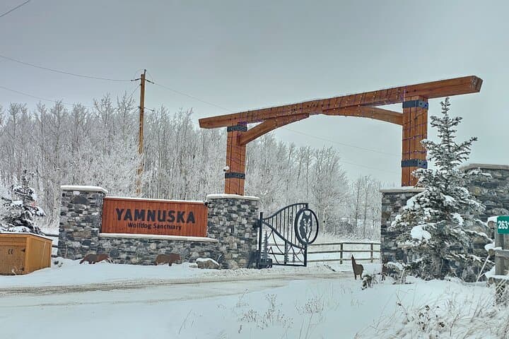 Calgary City Tour & Yamnuska Wolfdog Sanctuary — Private Full‑Day Experience photo 4