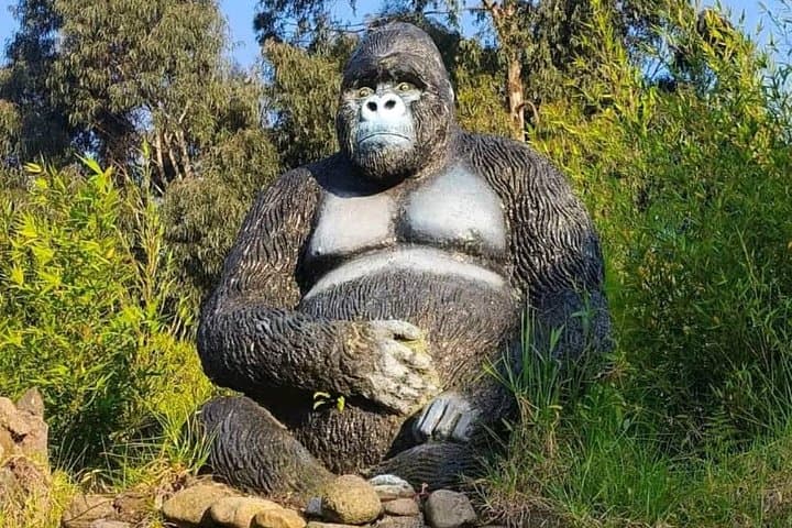 Rwanda One Day Gorilla Trekking: Volcanoes National Park Day Trip from Kigali photo 2