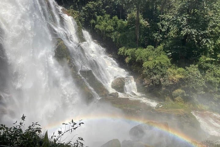 Doi Inthanon Full-Day Private Guided Tour: Waterfalls, Twin Pagodas & Highland Trails photo 3
