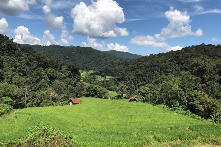 Doi Inthanon Full-Day Private Guided Tour: Waterfalls, Twin Pagodas & Highland Trails photo 4