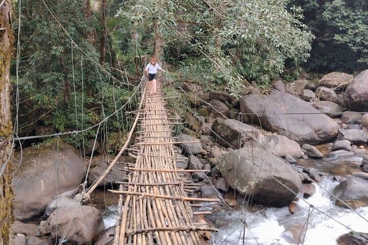 Anakulam Wild-Elephant & Tribal Village 4x4 Ride near Munnar photo 3