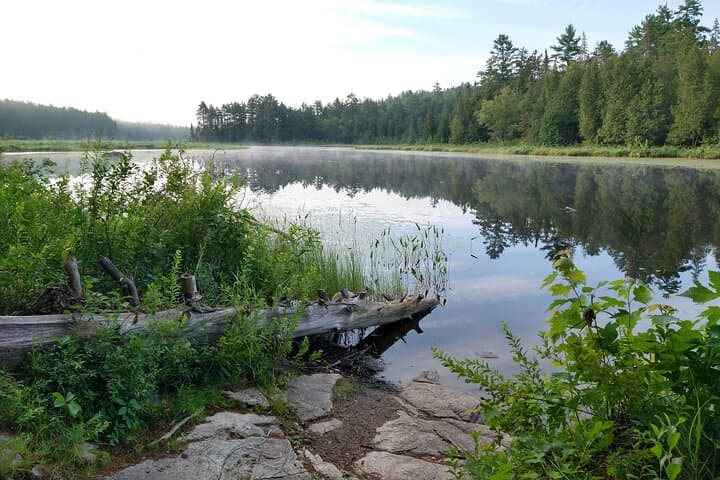 Private 4-Day Algonquin Park Backcountry Canoe Trip — Guided Canoe Camping in Algonquin photo 2