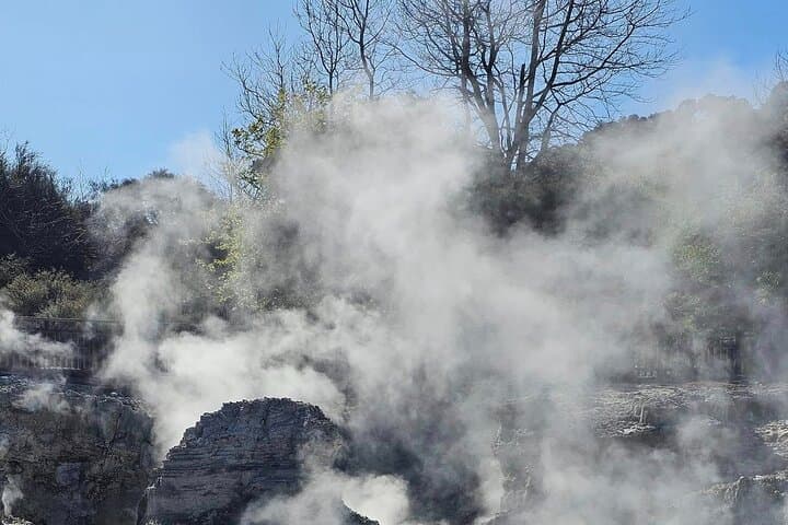 Hells Gate Rotorua: Geothermal Walk, Mud Baths & Sulphur Spa Experience photo 4