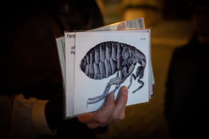 Prague Plague Doctor Walking Tour: Private 90-Minute Historical Experience photo 4
