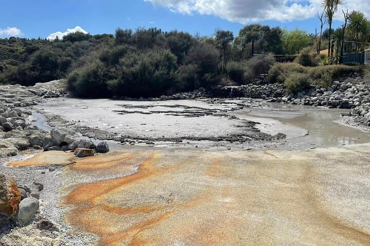 Hells Gate Rotorua: Geothermal Walk, Mud Baths & Sulphur Spa Experience photo 2