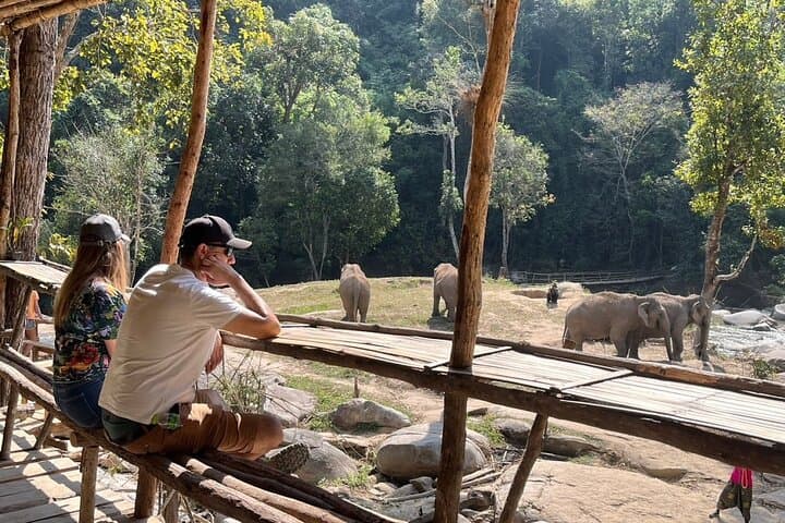 Chiang Mai Elephant Sanctuary and Wang River Bamboo Rafting Day Trip photo 4