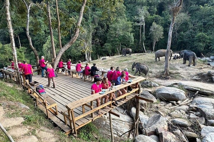 Chiang Mai Elephant Sanctuary and Wang River Bamboo Rafting Day Trip photo 5