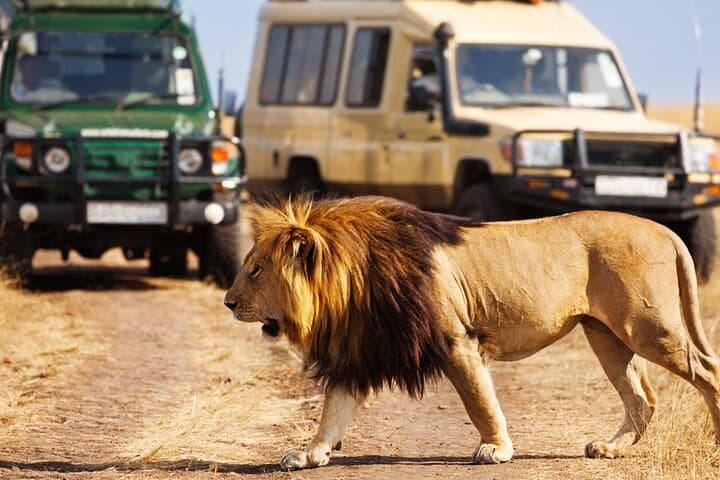 4-Day Luxury Flying Safari: Serengeti Above and Beyond photo 2