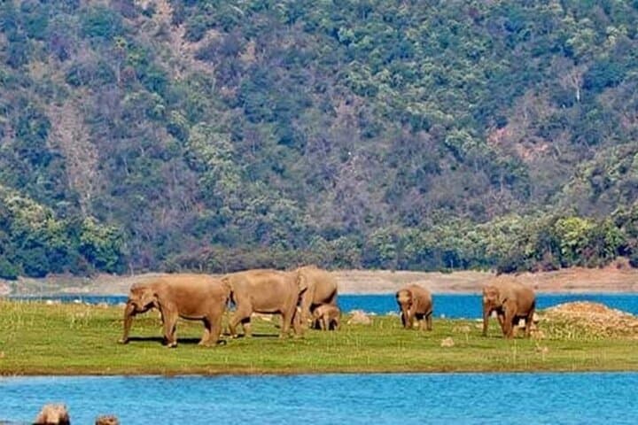 Goa to Jim Corbett: 2-Day Wild Escape Safari by Air photo 4