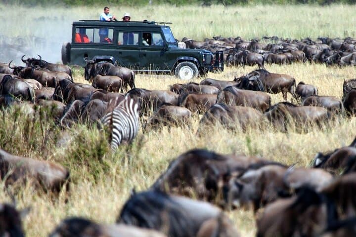5-Day Luxury Flying Safari: Amboseli & Maasai Mara, Kenya photo 5