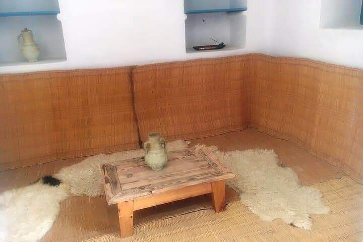 Djerba Crocodile Park Guided Tour — Nile Crocodiles, Feeding Demo & Conservation photo 3