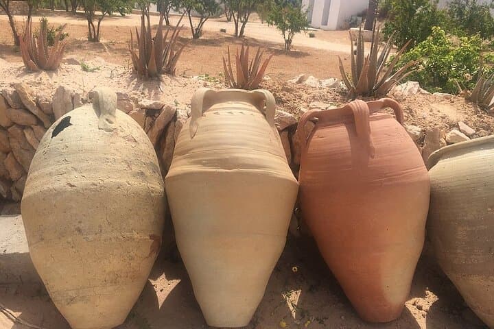 Djerba Crocodile Park Guided Tour — Nile Crocodiles, Feeding Demo & Conservation photo 5