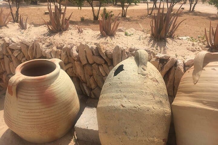 Djerba Crocodile Park Guided Tour — Nile Crocodiles, Feeding Demo & Conservation photo 6