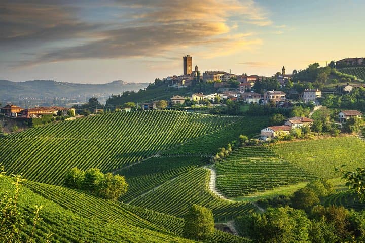 Milan to Barolo and Barbaresco Wine Tour: Alba, Family Wineries & Grinzane Cavour Castle