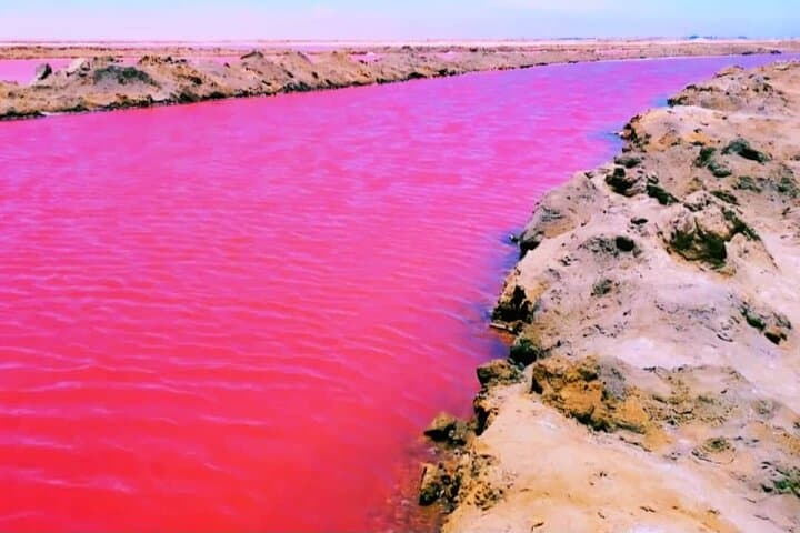 Sandwich Harbour Full-Day 4x4 Tour from Walvis Bay photo 4
