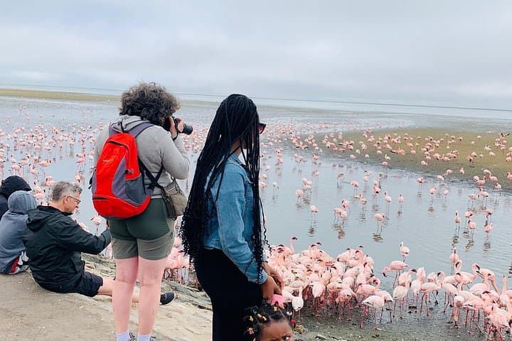 Sandwich Harbour Half-Day 4x4 Tour: Dunes, Pink Lake & Flamingos photo 3