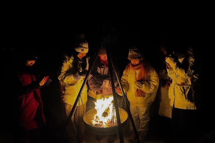 Chase the Northern Lights: Tromsø Full-Night Aurora Minibus Tour photo 6