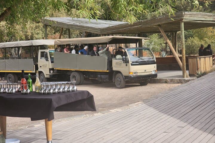 Aquila Game Reserve Sunset Safari from Cape Town: Brunch, Drive & Big Five Sightings photo 6