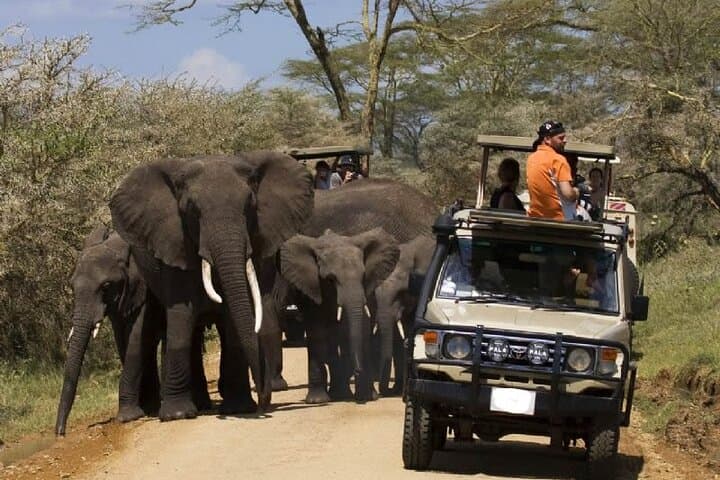 8-Day Kenya & Tanzania Wildlife Safari — Amboseli to Serengeti via Ngorongoro photo 2