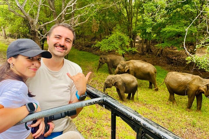 Uncover Sri Lanka: 10-Day Cultural and Wildlife Journey photo 2
