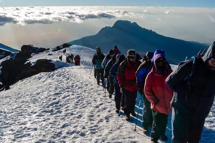6-Day Kilimanjaro Machame Route Trek: Summit Uhuru Peak Safely photo 3