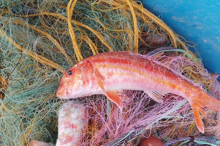 Chania Catch-and-Cook: Traditional Net Fishing & Seaside Feast photo 2