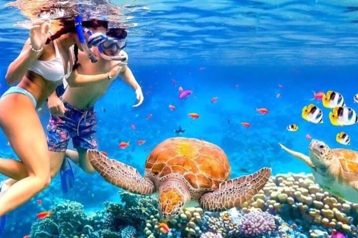 Blue Lagoon Snorkeling and Ayung River Rafting: Full-Day Bali Combo from Ubud photo 2