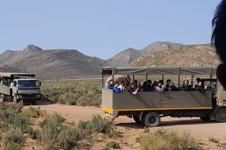 Aquila Private Sunset Safari and Diamond Works Tour from Cape Town photo 4