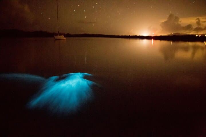 Vieques Bioluminescent Kayak: Mosquito Bay Night Paddle Guide photo 2