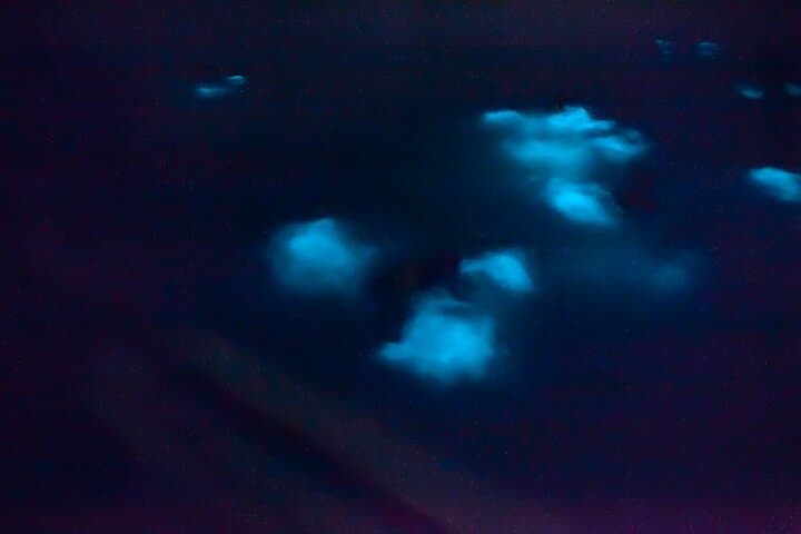 Vieques Bioluminescent Kayak: Mosquito Bay Night Paddle Guide photo 3