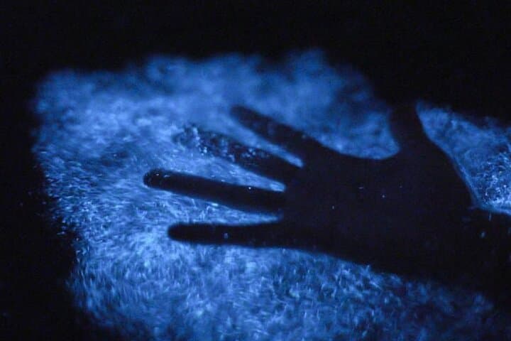 Vieques Bioluminescent Kayak: Mosquito Bay Night Paddle Guide photo 4