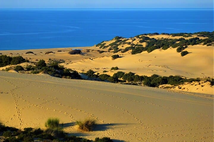 Piscinas Dunes and Montevecchio Old Mines: Day Tour from Cagliari photo 3